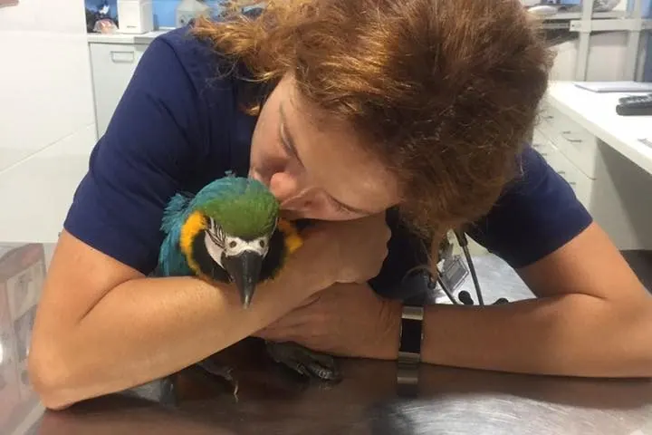Veterinaria del Centro Veterinario Alhama sujetando a un guacamayo en la consulta