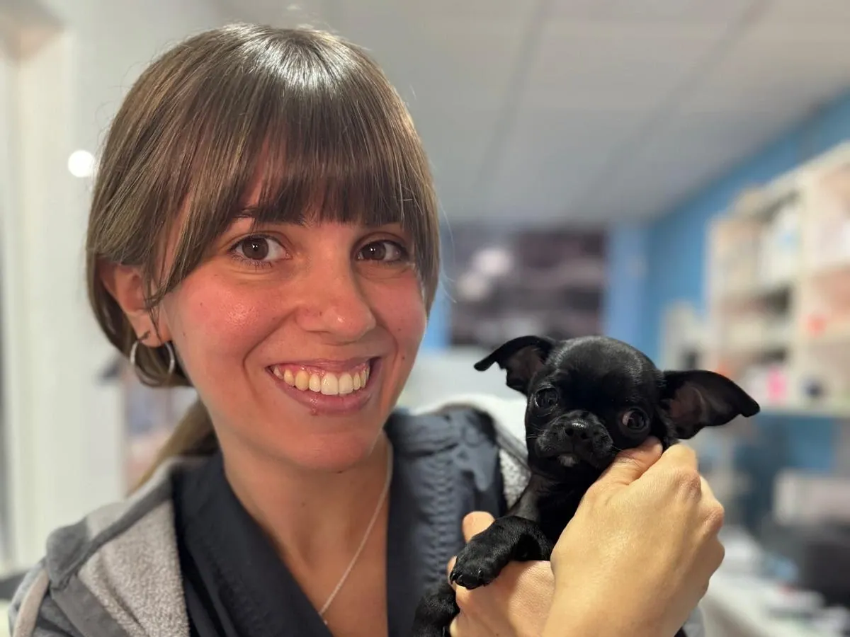 Veterinaria del Centro Veterinario Alhama atendiendo a un perro pequeño en la consulta
